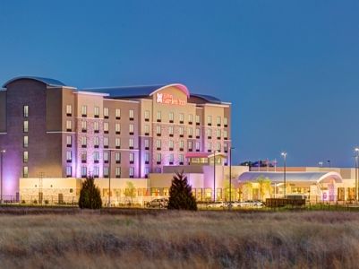 Hotel Hilton Garden Dallas/arlington South 3*