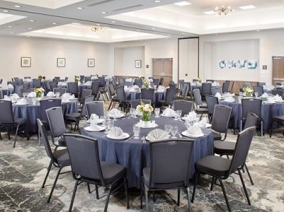 Hilton Garden Dallas/arlington South Hotel