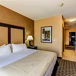 Holiday Inn Arlington Northeast By Ihg