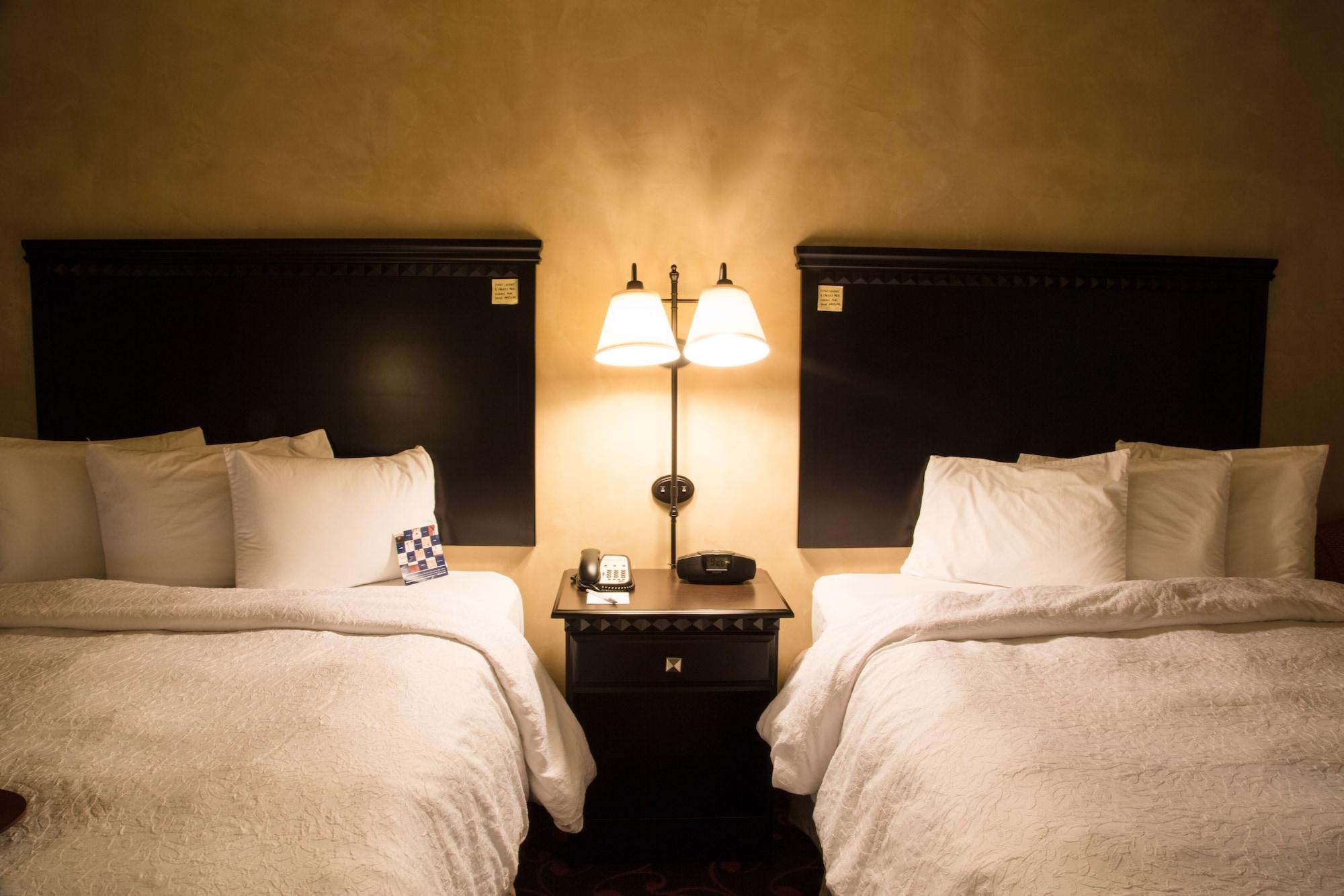 Hotel Hampton & Dallas-arlington North-entertainment District 3*