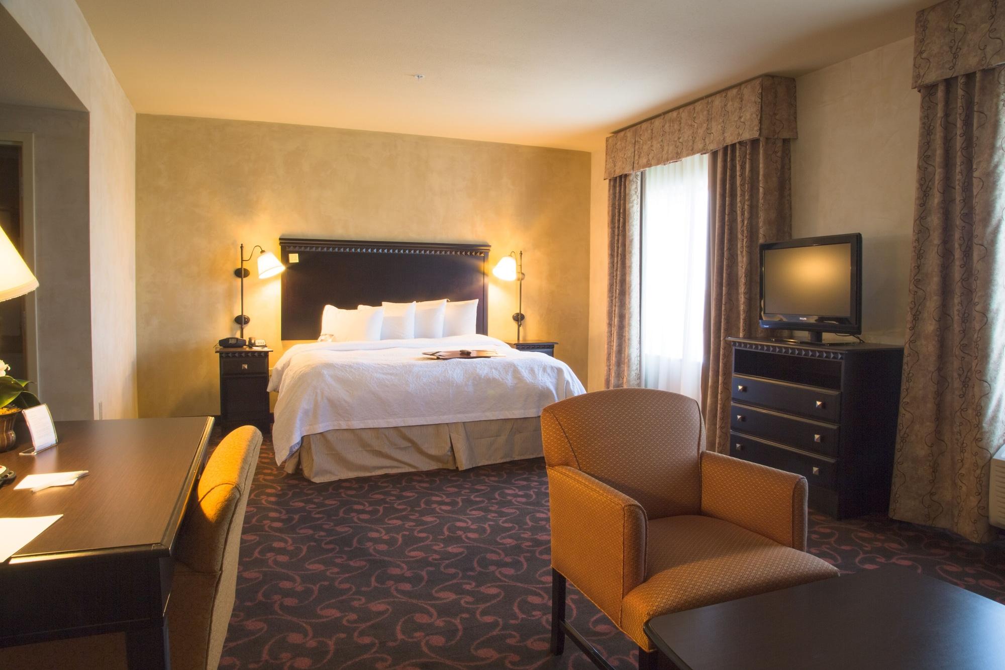 Hampton & Dallas-arlington North-entertainment District Hotel Arlington