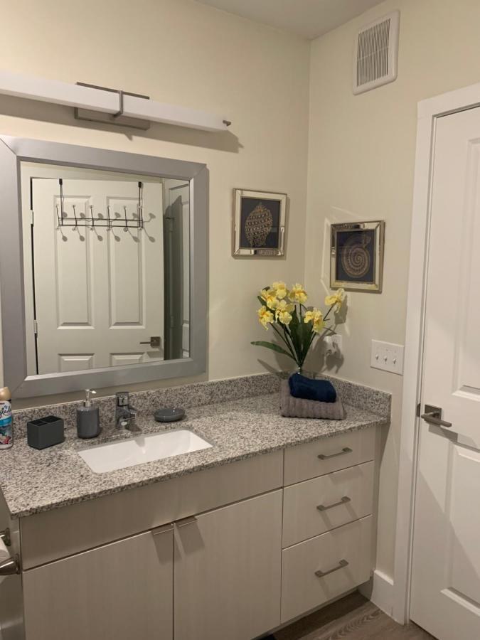 Apartment Private, Amazing 1-bedroom Apt In Central Location