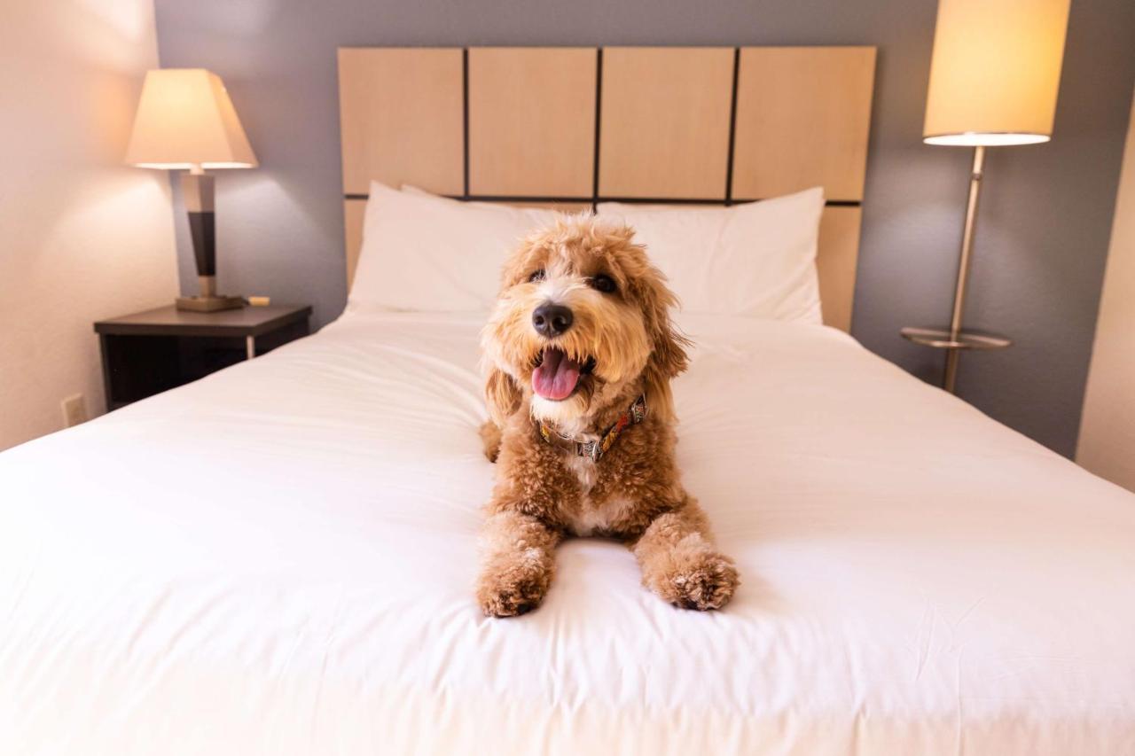 Sonesta Simply Hotel Arlington