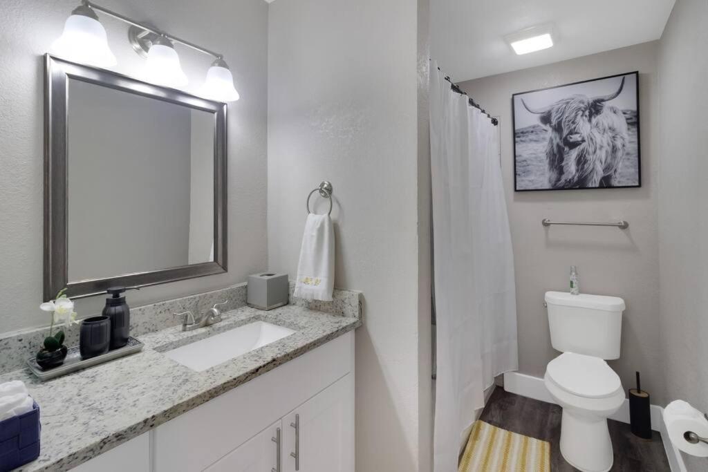 Apartment Modern Cozy Retreat! Your Home away from home Arlington
