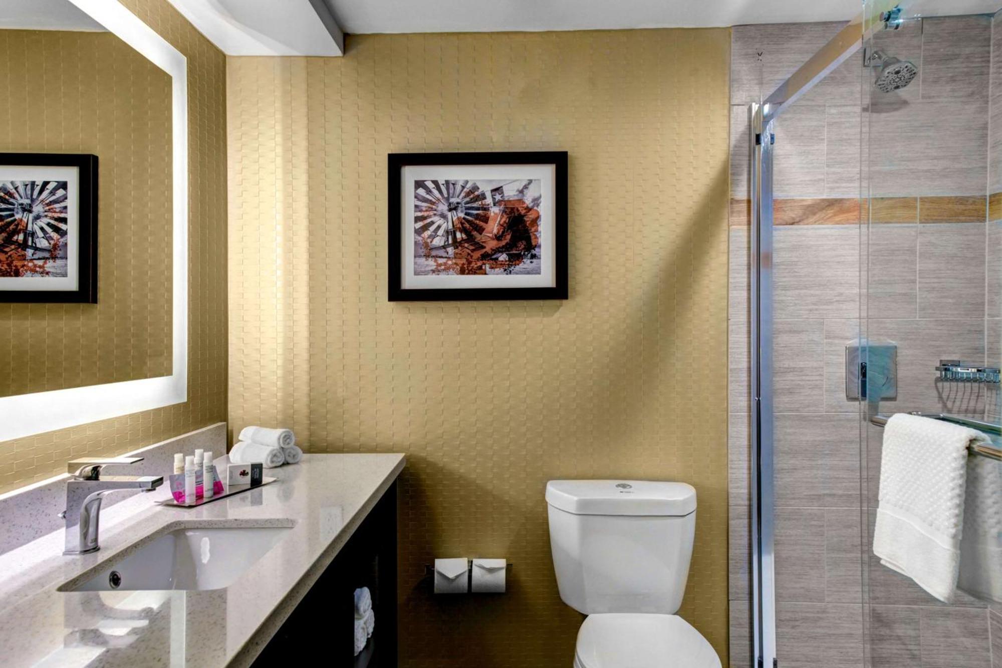 Doubletree By Hilton Dfw South Arlington