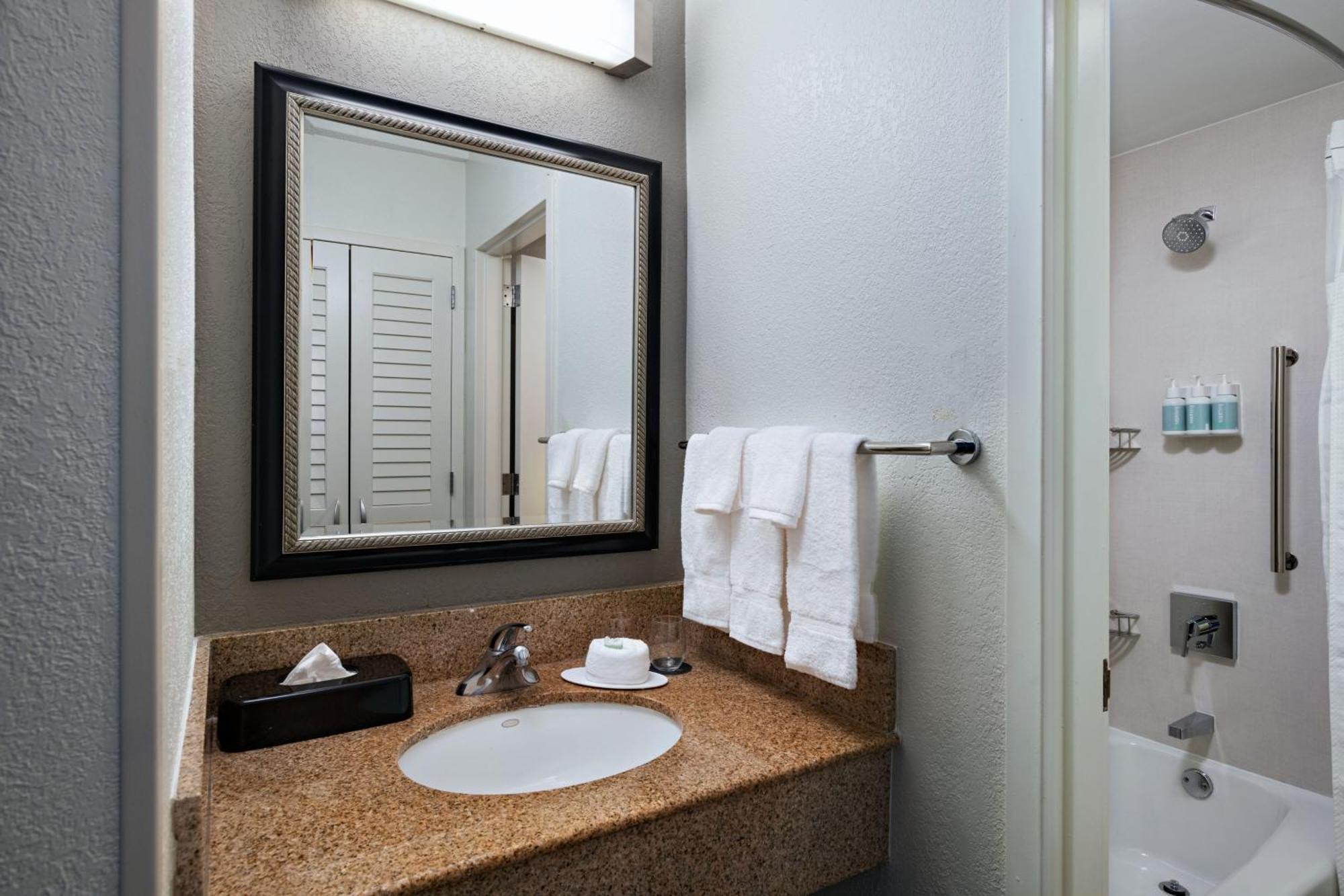 Hotel Courtyard By Marriott Dallas Entertainment District Arlington