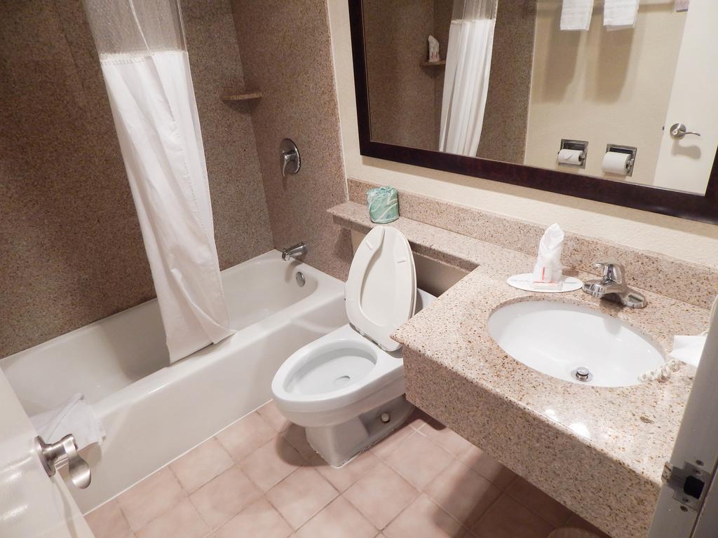 Hotel Howard Johnson By Wyndham Ballpark / Six Flags