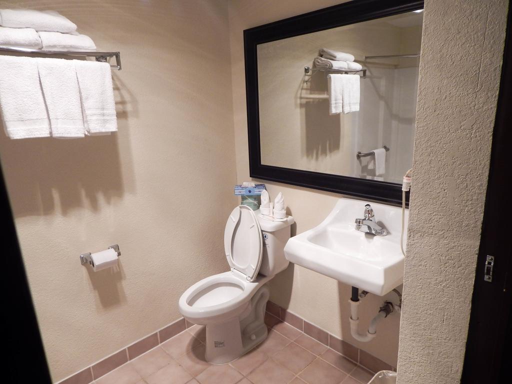 Hotel Howard Johnson By Wyndham Ballpark / Six Flags