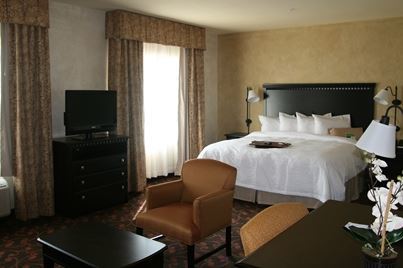 Hotel Hampton & Dallas-arlington North-entertainment District