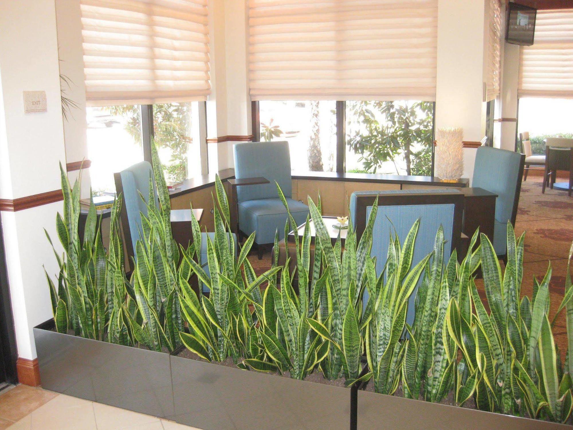 Courtyard By Marriott Dallas Entertainment District Hotel