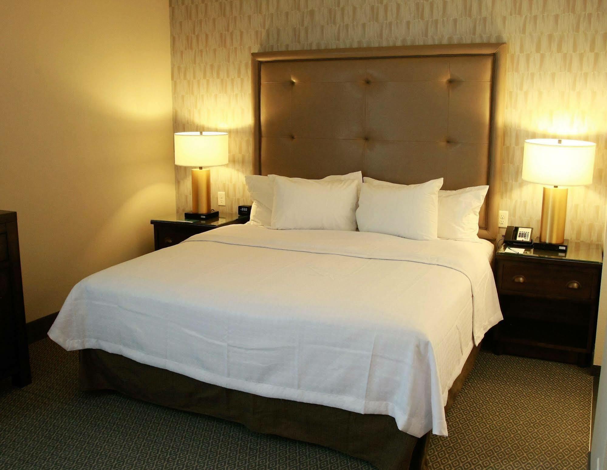 Homewood By Hilton Dallas South Hotel