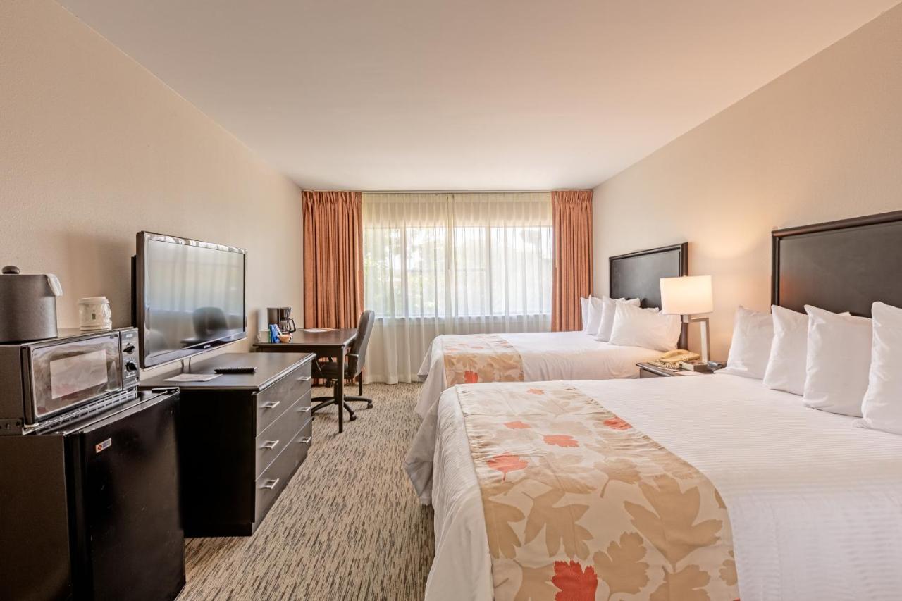 Value Extended - Hotel Arlington