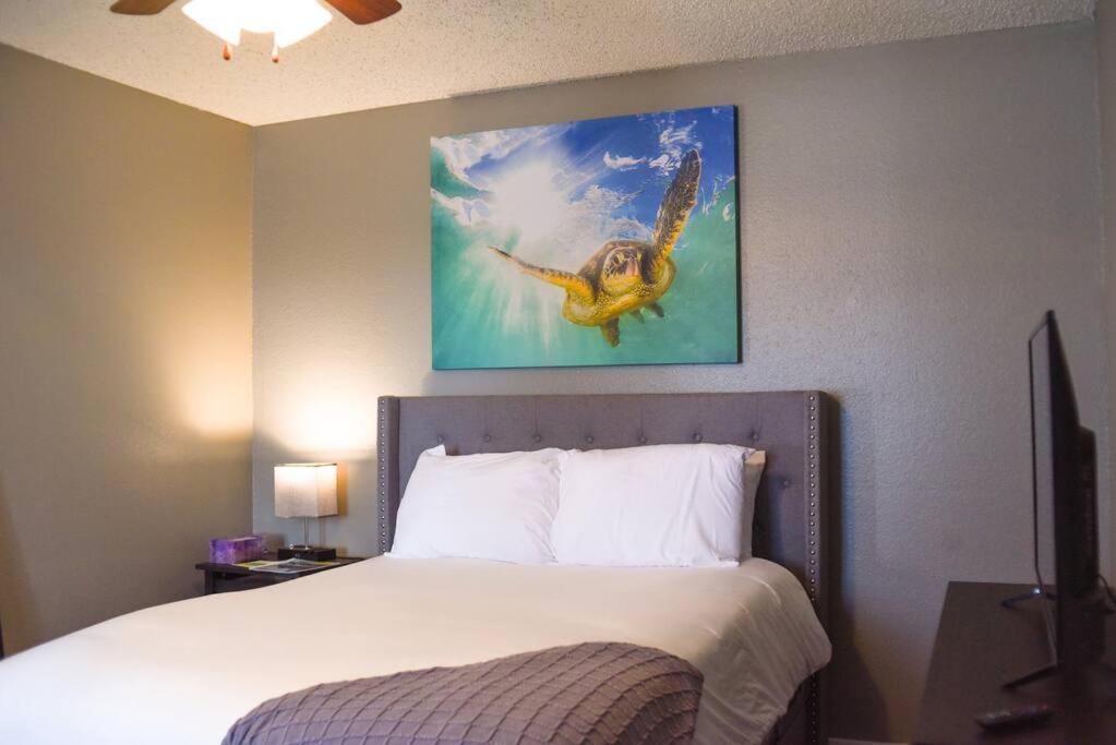 Apartment 6 Mins Away Cowboy/ranger Stadium 1bd