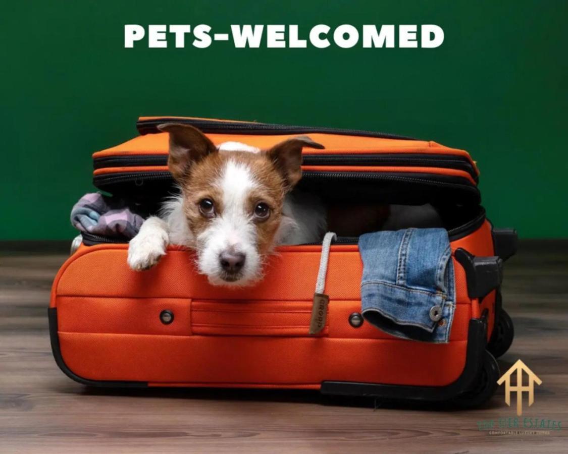 Lavish Hidden Gem Pet Friendly Holiday home