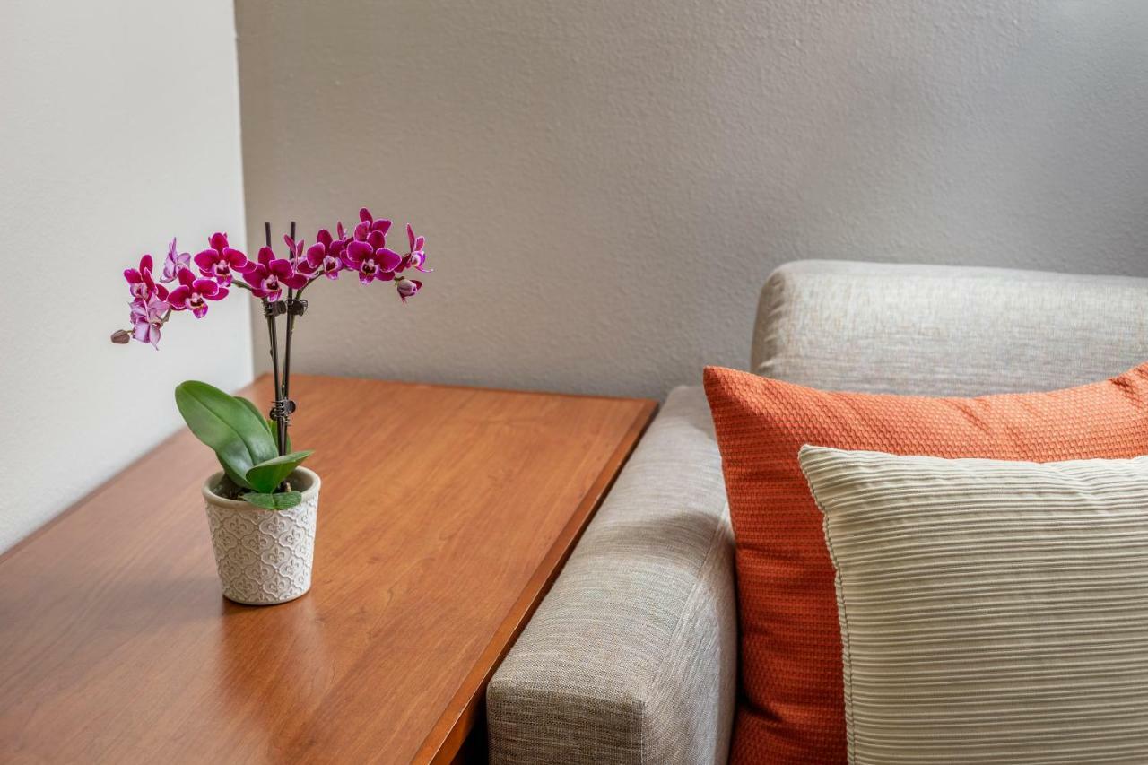 Hyatt Place Dallas/north Arlington/grand Prairie 3* Arlington